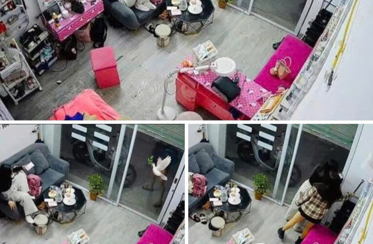 [VIDEO] Cô gái hoảng hốt khi thấy người đàn ông mang “họa mi” hót trước cửa